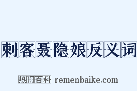 刺客聂隐娘反义词是什么意思的图片